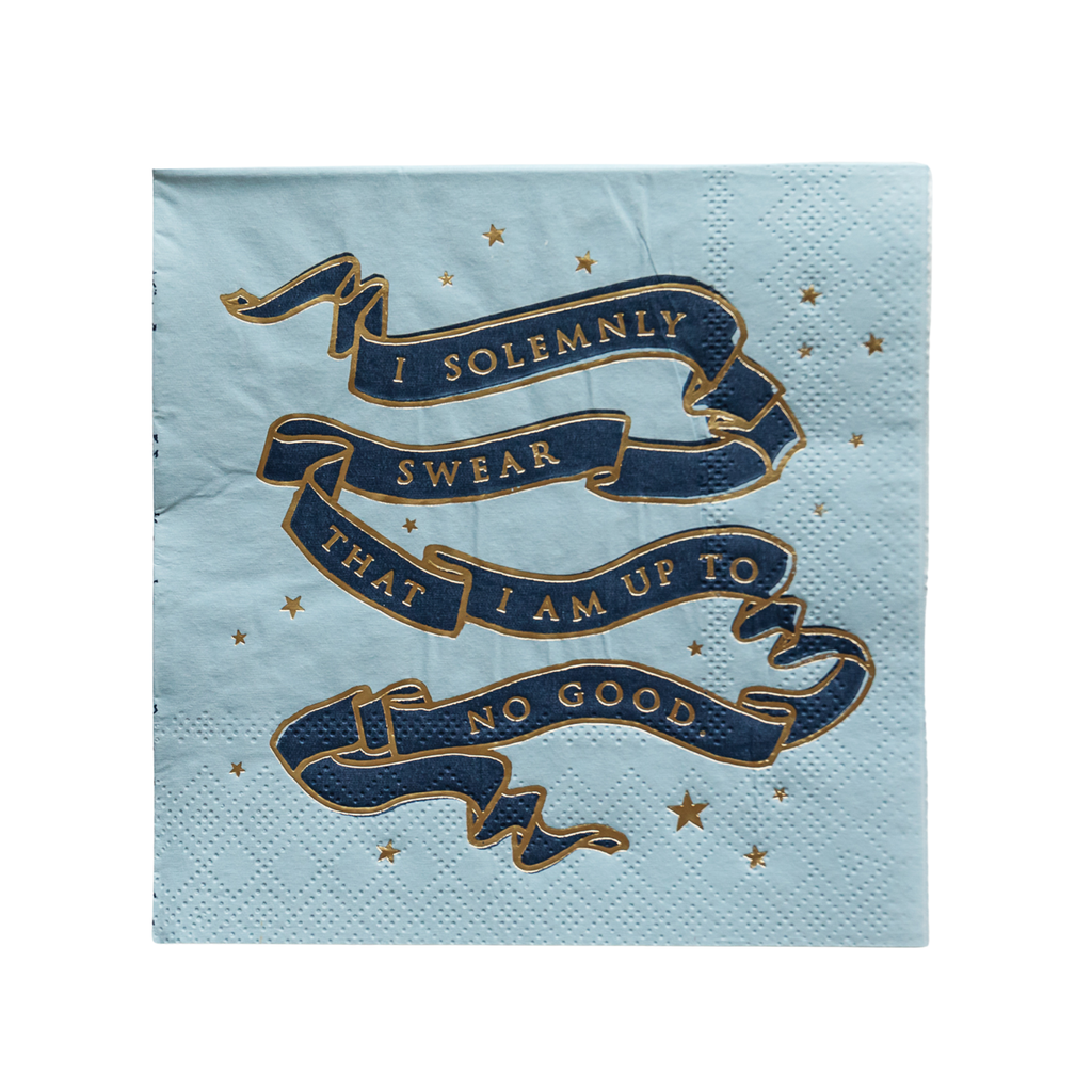 Harry Potter X Bonjour Fête House Pride Small Party Napkins