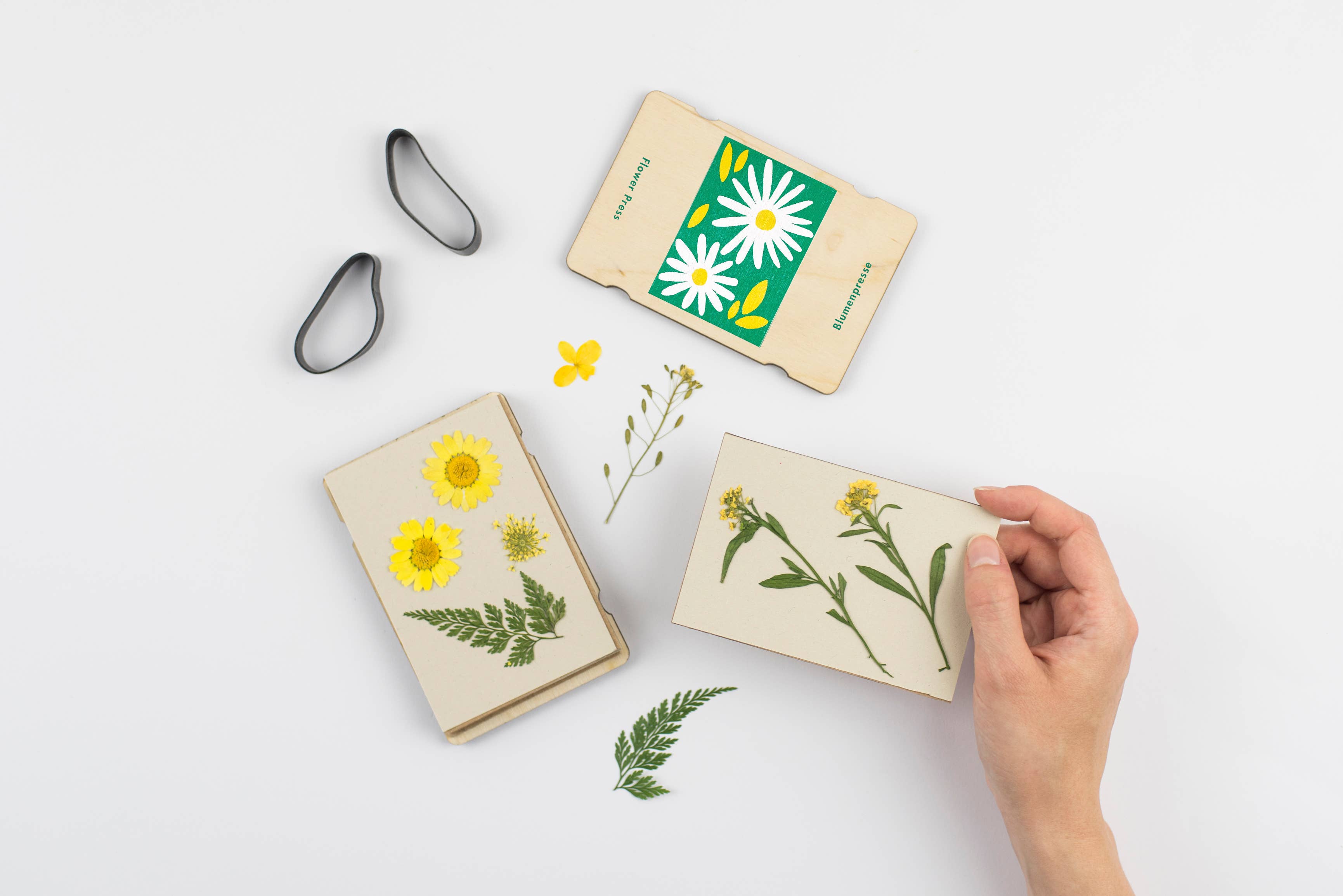 Pocket Flower Press | Daisy