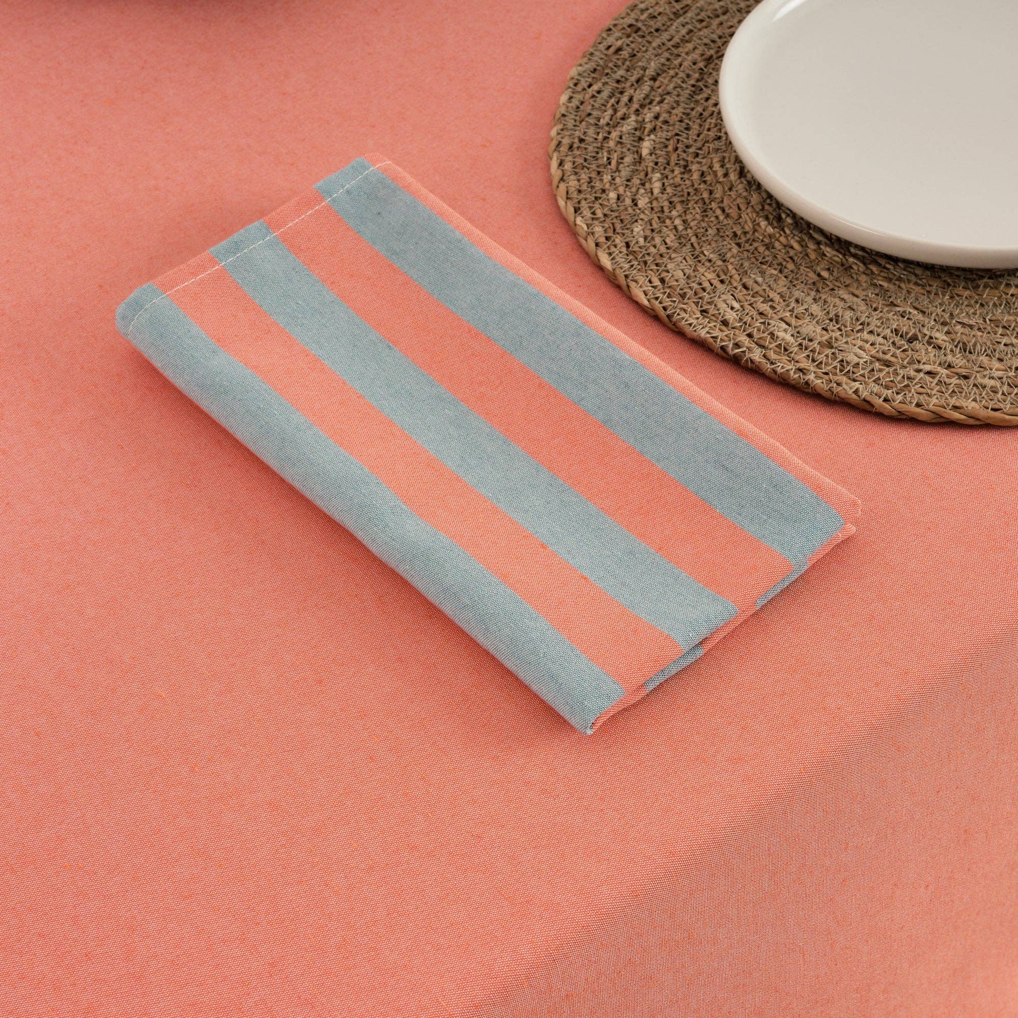 Coral / Slate Green Striped Napkins (Set of 2)