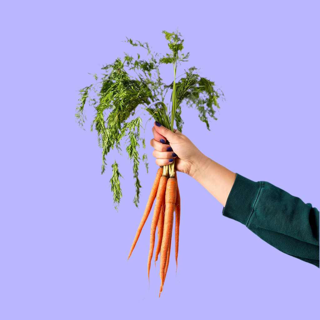 Garden Seed Pop: Carrot Bunch