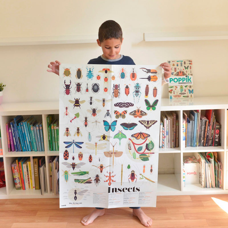 Insect Discovery Sticker Poster