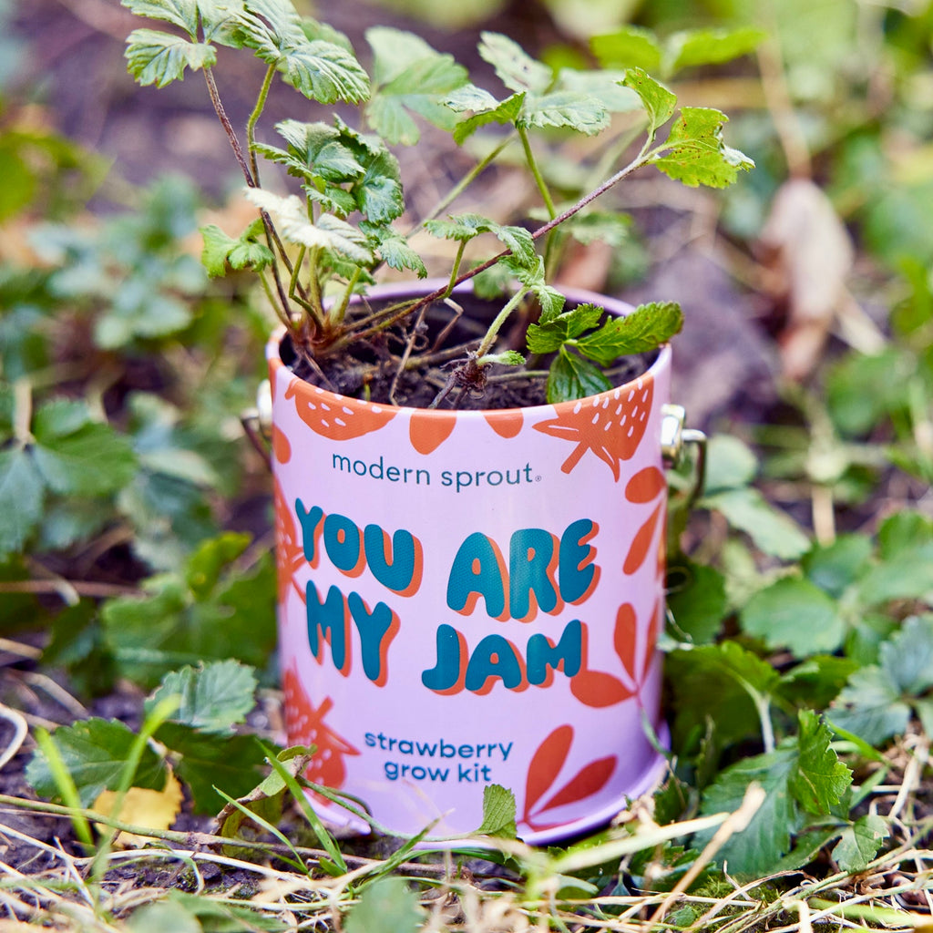 You Are My Jam Strawberry Grow Kit