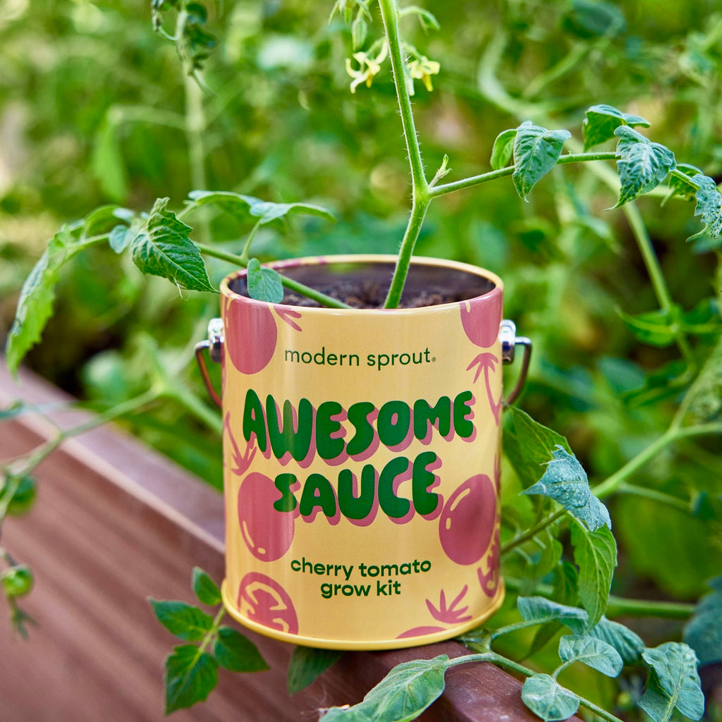 Awesome Sauce Cherry Tomato Grow Kit