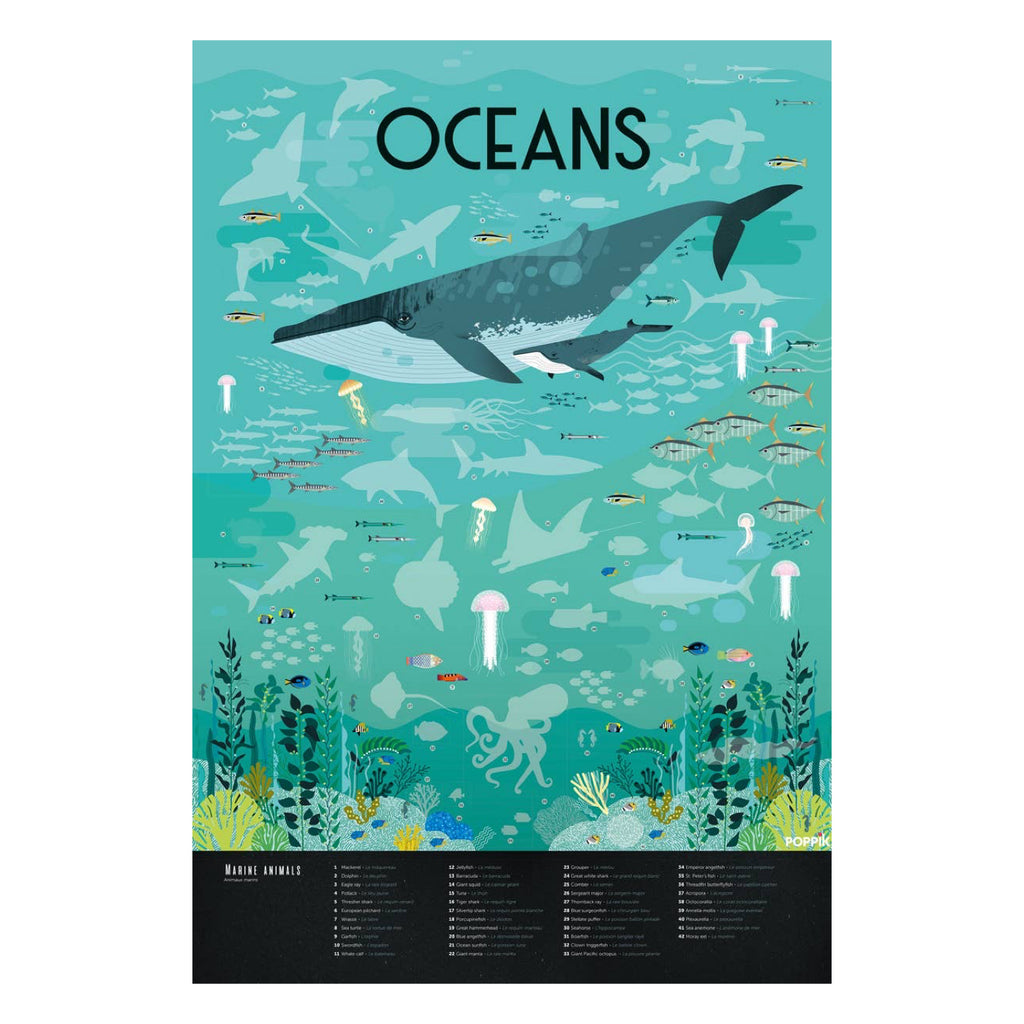 Ocean Discovery Sticker Poster