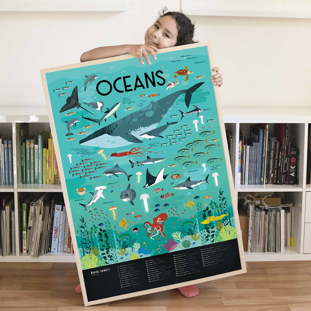 Ocean Discovery Sticker Poster