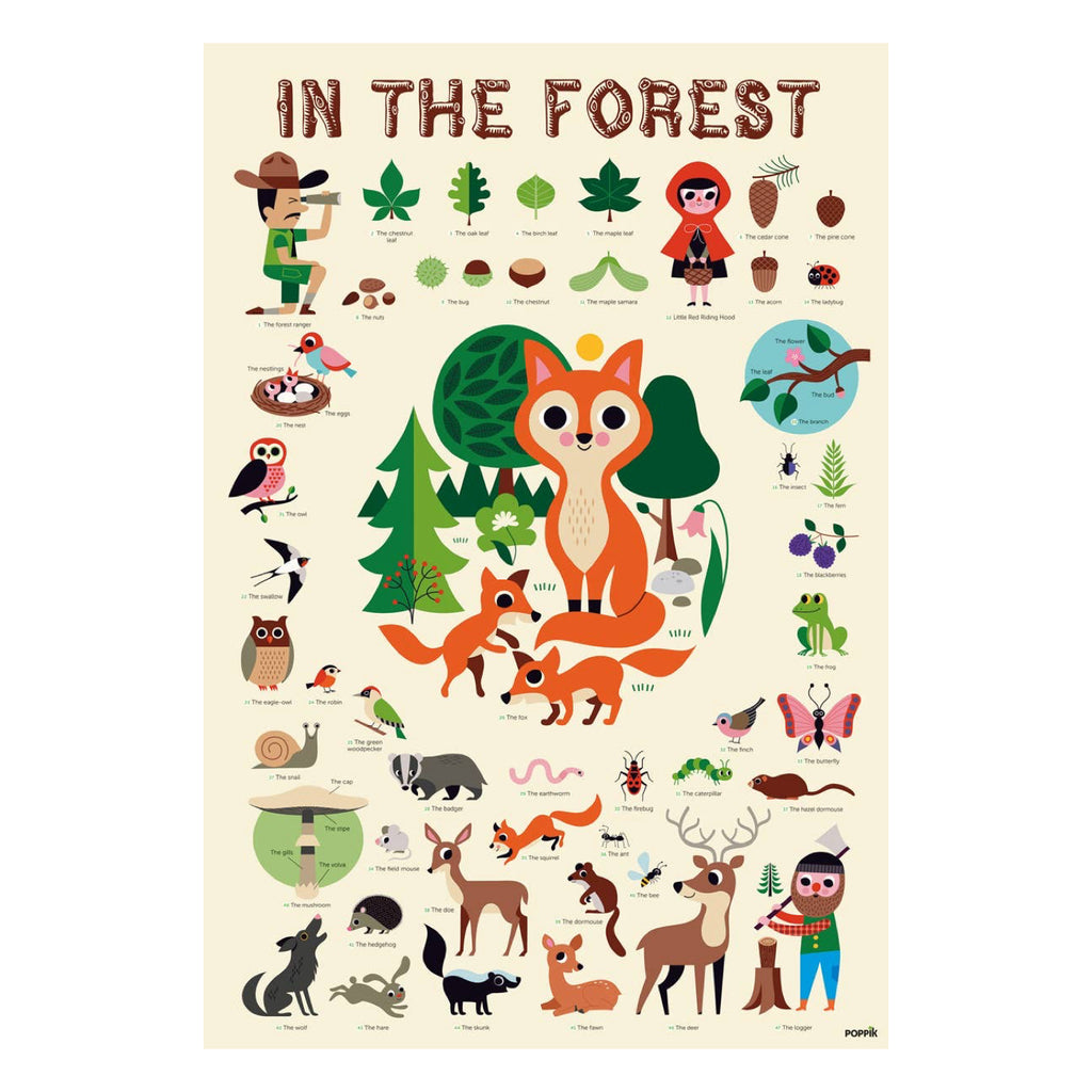 Forest Discovery Sticker Poster