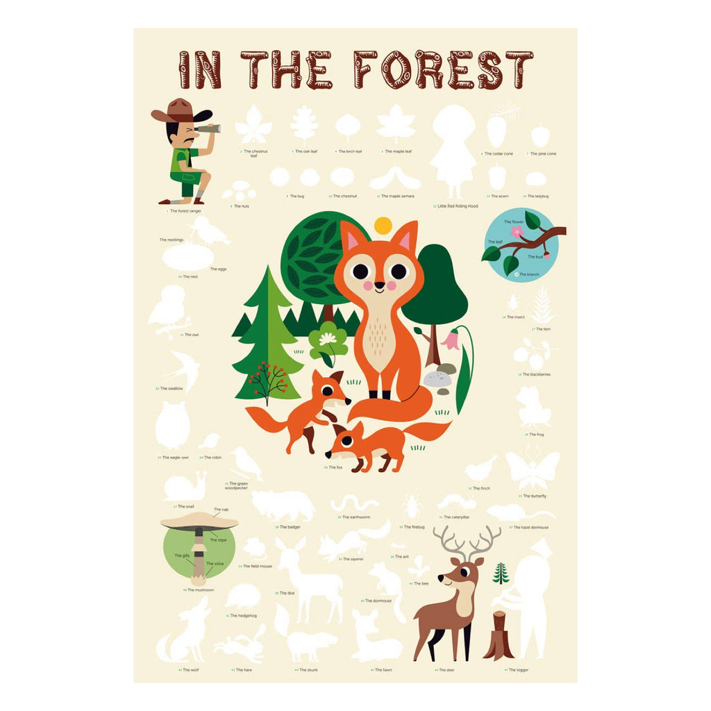 Forest Discovery Sticker Poster