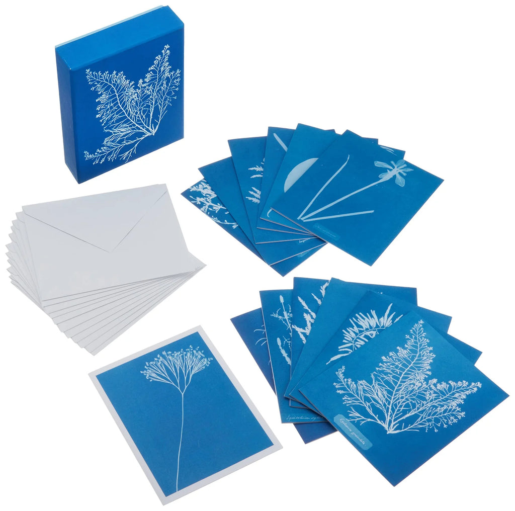 Sunprint Notecards