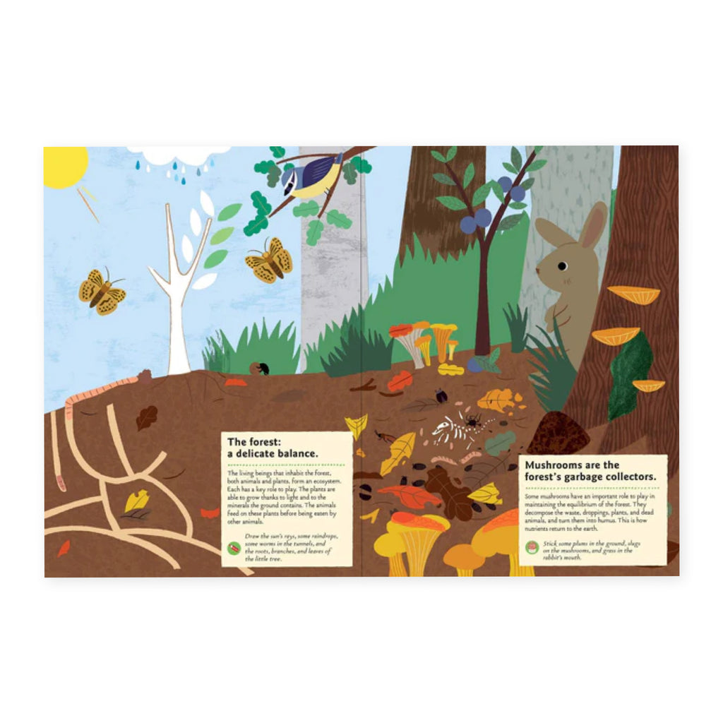 In the Forest Sticker Activity Book