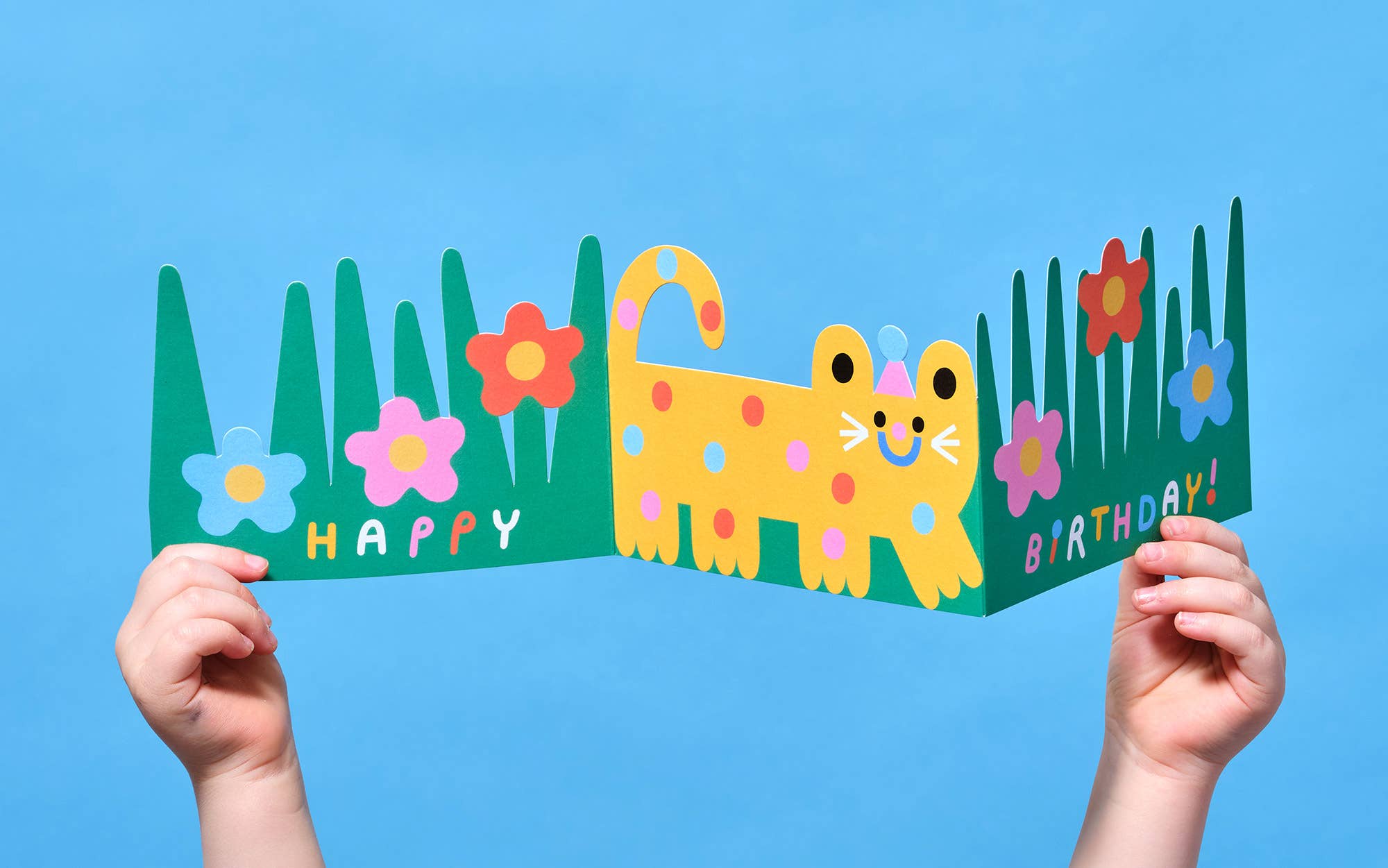 'Cat'  Fold Out Kid's Birthday Card